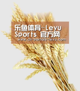 乐鱼体育-Leyu Sports 官方网页版-在线登录网址