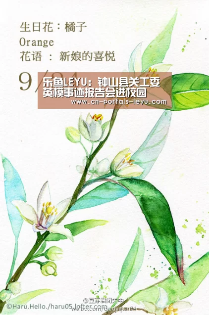 乐鱼LEYU